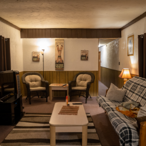 Classic & Modern Sofa Sets